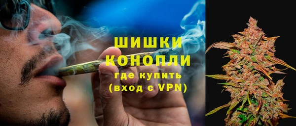 не бодяженный Аркадак